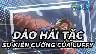 [Đảo hải tặc] Sự kiên cường của Luffy