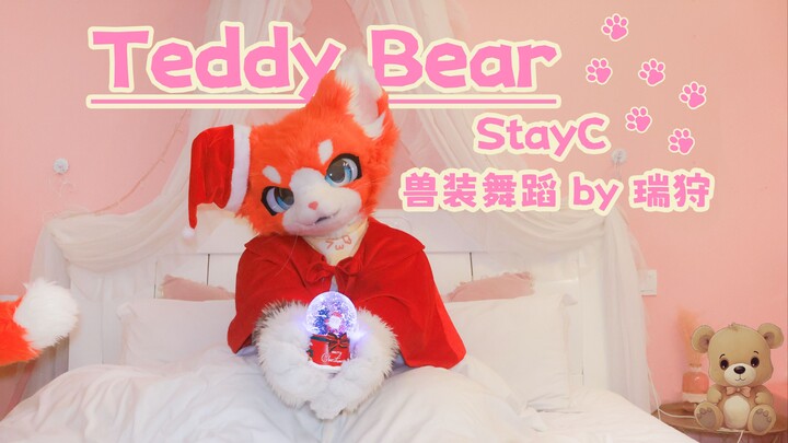【兽装舞蹈】Teddy Bear - StayC | 瑞狩圣诞节特辑 乖猫猫也想获得圣诞礼物