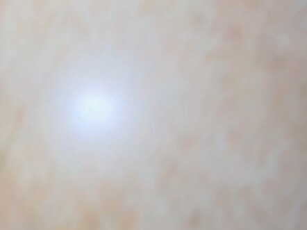 《你的小秘密我吃一辈子》