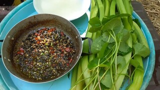 Ốc Đắng Kho Quẹt Chấm Rau Non Ăn Sạch Nồi Cơm| TKQ T273