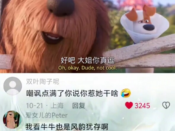 Chỉ trích đã đạt mức tối đa, sao bạn lại đi chọc giận anh ấy chứ?