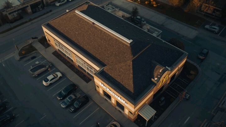 McDonald's Make Billions By Selling just A Burger 🍔