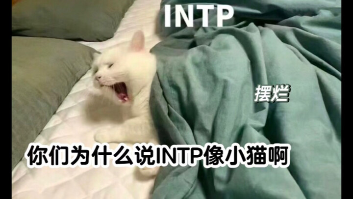 INTP ขี้เกียจออนไลน์