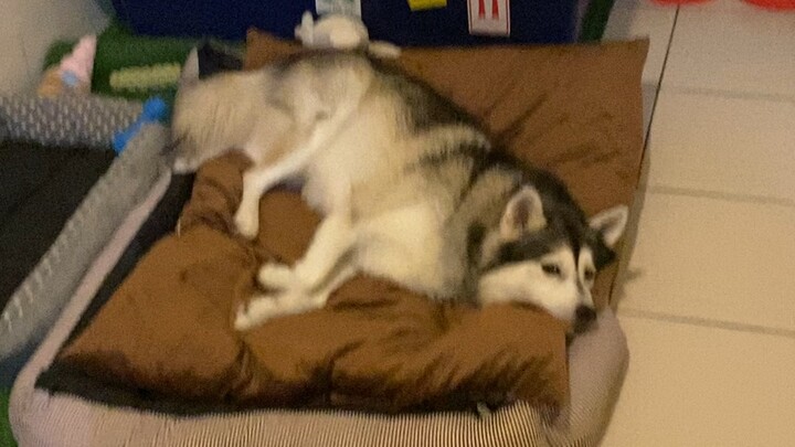 Cozy bed & bed weather