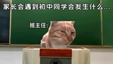 家长会遇到初中同学会发生什么…