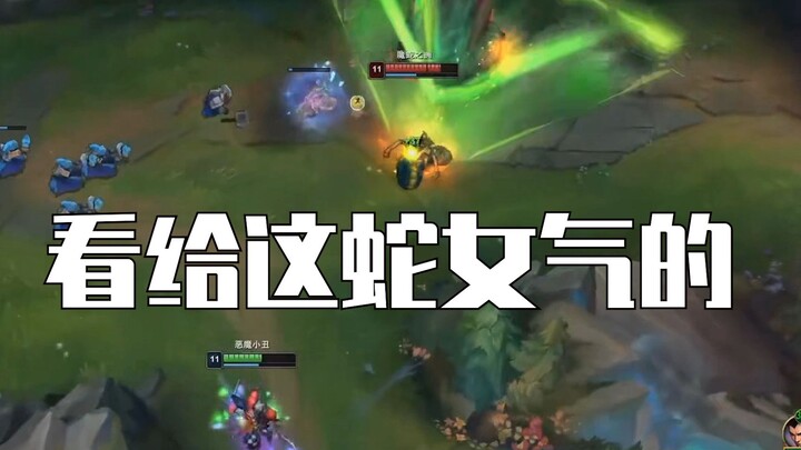 【Mịch Độ】Nữ rắn nhớ lại trận game đó đến mức tức đến nỗi ăn luôn cả cái bát