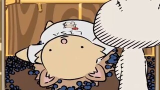 20230817 《Natural Animal Observation Bureau》- Natural Habitat Short 🦔 Going Down