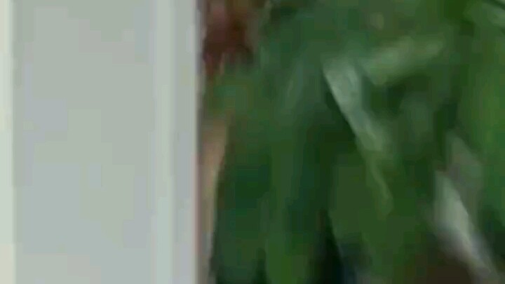 Meidu Sha at Home Edition