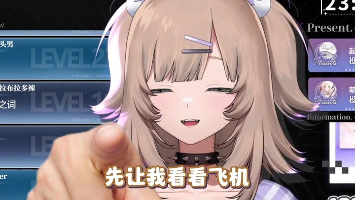 我的飞机场，可不养小飞机...