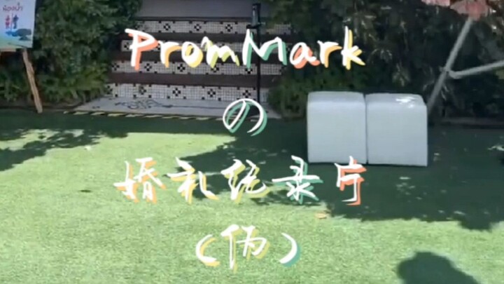【PromMark】【พร้อมมาร์ค】Wedding documentary（not true） event:dtac×prommark