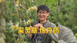 新 时 代 凡 人 修 仙 传