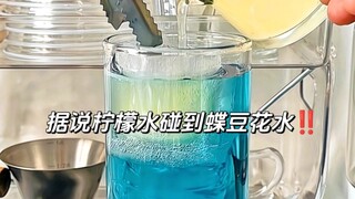 🍋 Lemonade meets butterfly pea flower—what a soothing and delightful combination!