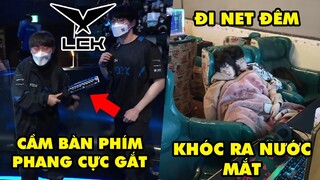 TOP khoảnh khắc điên rồ nhất LMHT 218: Game thủ LCK cầm bàn phím phang, Đi net đêm khóc ra nước mắt