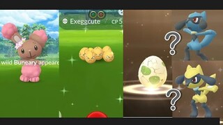 New Shiny Flower Pokemon, Shiny Exeggcute, My Shiny Riolu chances on 2kmg egg?