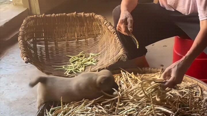 It feels like I’ve gone back to my childhood!