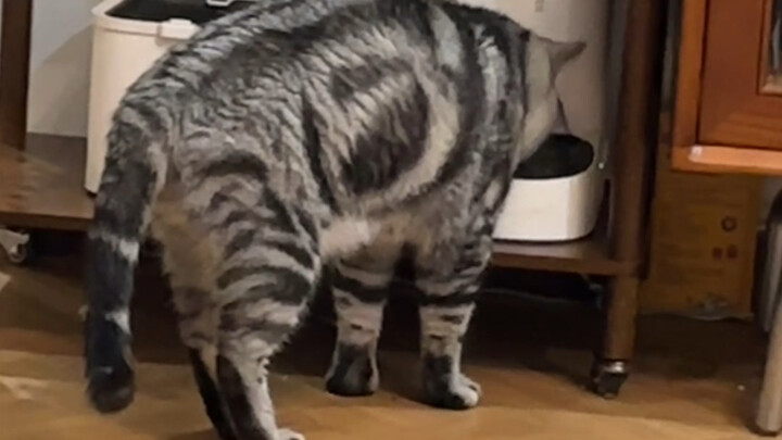 يمكنك أن ترى أنه عديم الفائدة حقًا.