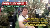 BONSAI  EXHIBIT 2023 | ART CAPITAL BONSAI CLUB @ SM CITY TAYTAY | Tenrou21