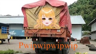 【STELLAWAKE】Truck Pwipwipwipwipwip