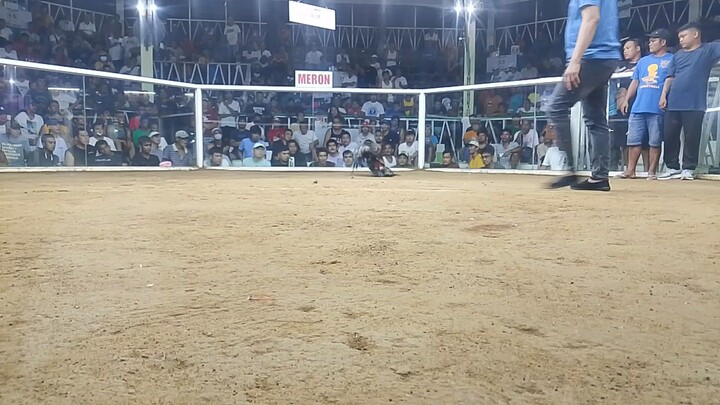 1st fight 2hits ulutan..balagtas cockpit...win