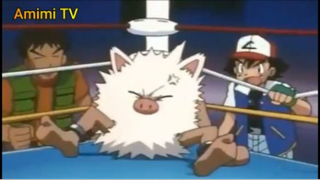 Pokemon Tổng Hợp (Ep 29.2) _ Giải đấu T1 #PokemonTongHop_tap29