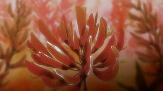 Samurai Champloo - EP14 - Kẻ Vô Lại Lầm Đường (Phần 2)