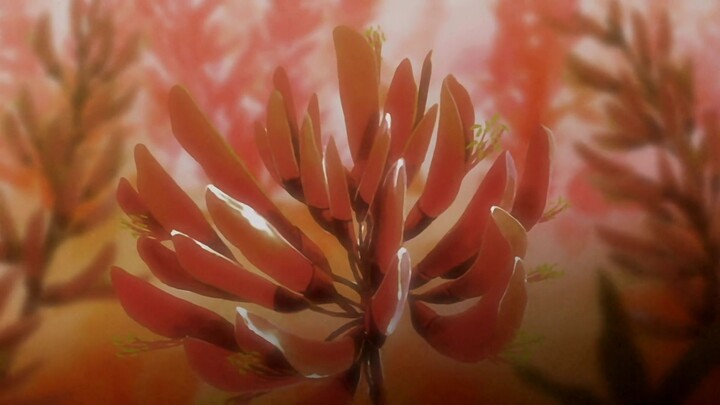 Samurai Champloo - EP14 - Kẻ Vô Lại Lầm Đường (Phần 2)