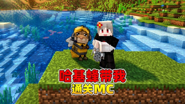 When the Haki Bees Enter Minecraft! Can They Help Me Defeat the Ender Dragon? #MinecraftChina #Minec