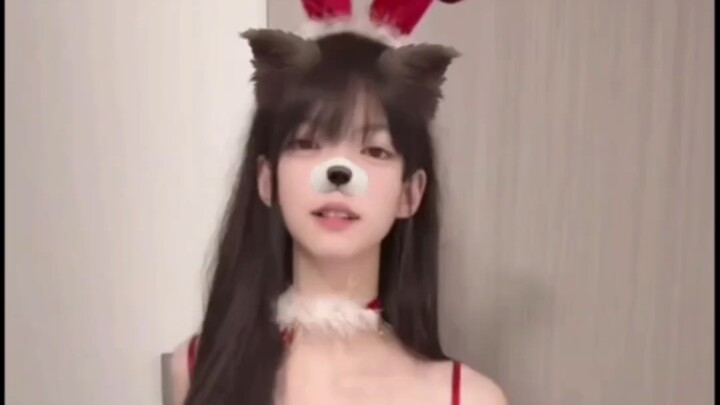 Cá khô nhỏ ❤️ Nhạc dance tổng hợp