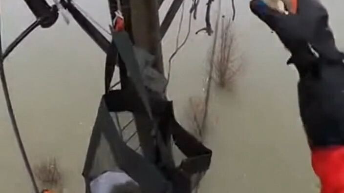 When the Nest Collapsed — Eagle Chick Rescue (Helmet Cam)