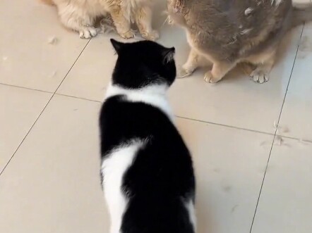 مجموعة هاكيمي اللطيفة (الجزء الأول)