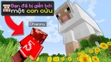 Liệu Cừu Có Thể Giết Bạn Trong Minecraft Hay Không