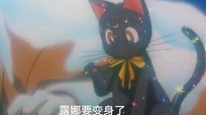 [ Sailor Moon ] What will Luna cat look like when she transforms?