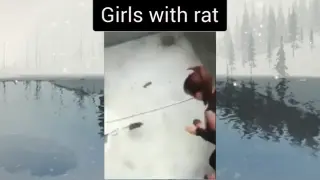 Girls with rat Vs Boys with rat