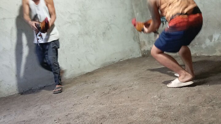 exercise🐓