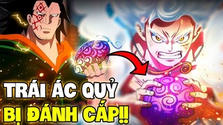 TRÁI NIKA BỊ LUÔN BỊ ĐÁNH CẮP? | NHỮNG TRÁI ÁC QUỶ BỊ ĐÁNH CẮP TRONG ONE PIECE