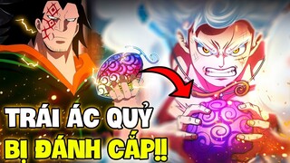 TRÁI NIKA BỊ LUÔN BỊ ĐÁNH CẮP? | NHỮNG TRÁI ÁC QUỶ BỊ ĐÁNH CẮP TRONG ONE PIECE