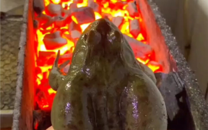 Ếch núi chi phí 15 đồng làm thành món 68 đồng