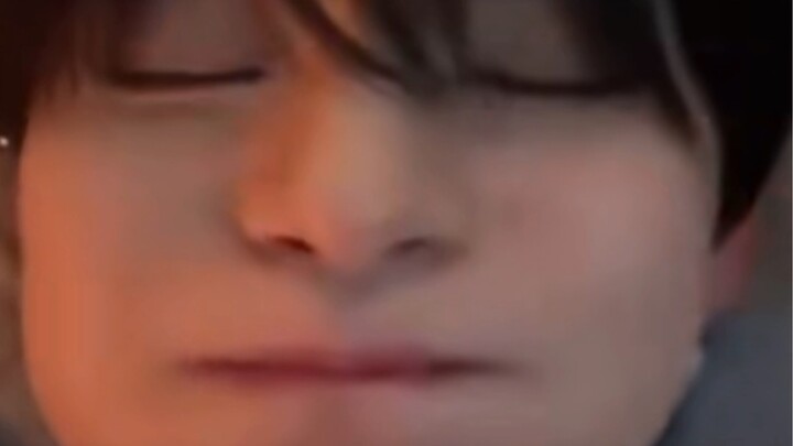 Những thước phim thú cưng cực dễ thương trong từng khung hình