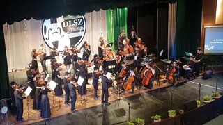 DLSZ Strings: Concordia