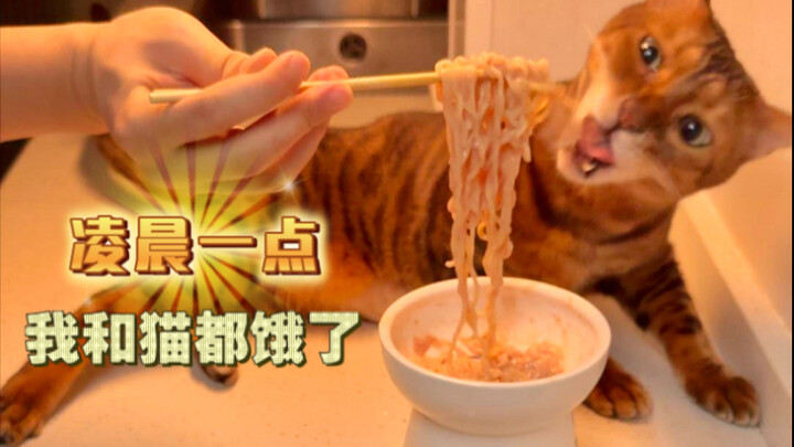 في الواحدة صباحًا، أنا والقط جعانان!