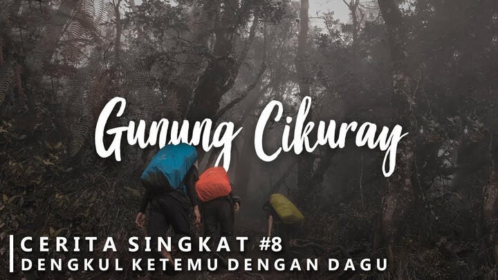 Hampir Menyerah (Gunung Cikuray via Bayongbong)