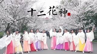 【十二花神】樱花季绝美汉服舞蹈现场版 花朝节献礼