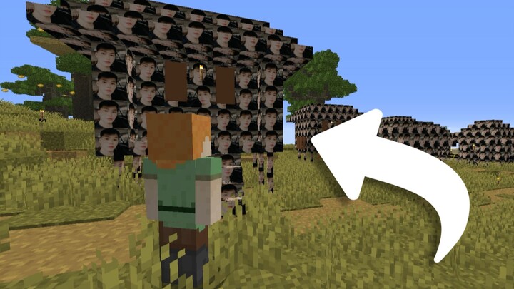 When all the blocks in the Minecraft server turn into little kitty bros (Player: Oh my god!)