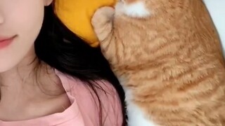 它说它9岁了，还不敢自己一只猫睡