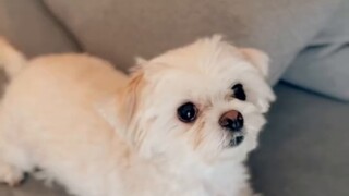【4k vlog】รู้ไหมวันอาทิตย์นี้เป็นวันอะไร?