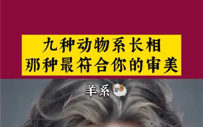 九种动物系长相男生