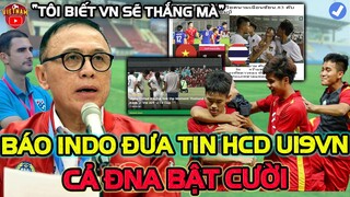 Báo Indo Đưa Tin Về Trận Thắng Của u19 Việt Nam Trước U19 Thái Lan, Khiến Cả ĐNA Bật Cười