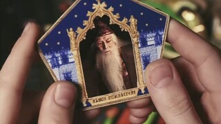 [Albus Dumbledore | Kamu tidak benar-benar bahagia] Tebus dunia dengan cinta dan biarkan dirimu perg