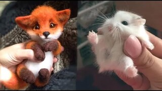 Cute baby animals Videos Compilation cute moment of the animals - Cutest Animals #5