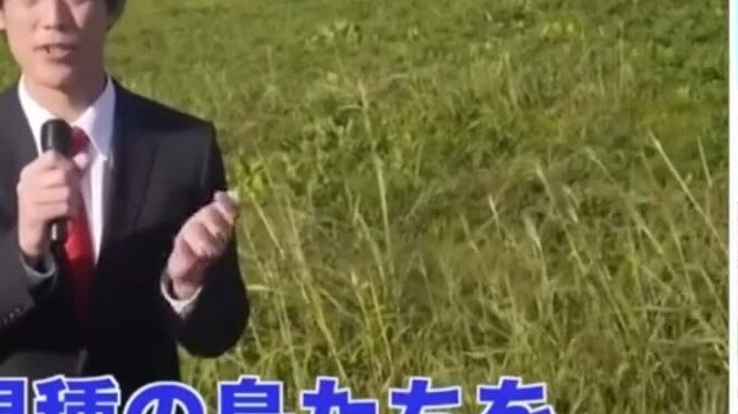 Japanese cats watch relaxation accident, this lake has a wrong name